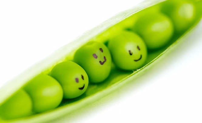 아름드리치과 이현정원장의 치아교정 이야기(2009년 11월 16일 OSEN 기사 내용) 관련 이미지 2