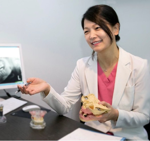 신논현역 치과_아름드리 치과_야간진료_임플란트 가격_치아교정 가격 관련 이미지 5