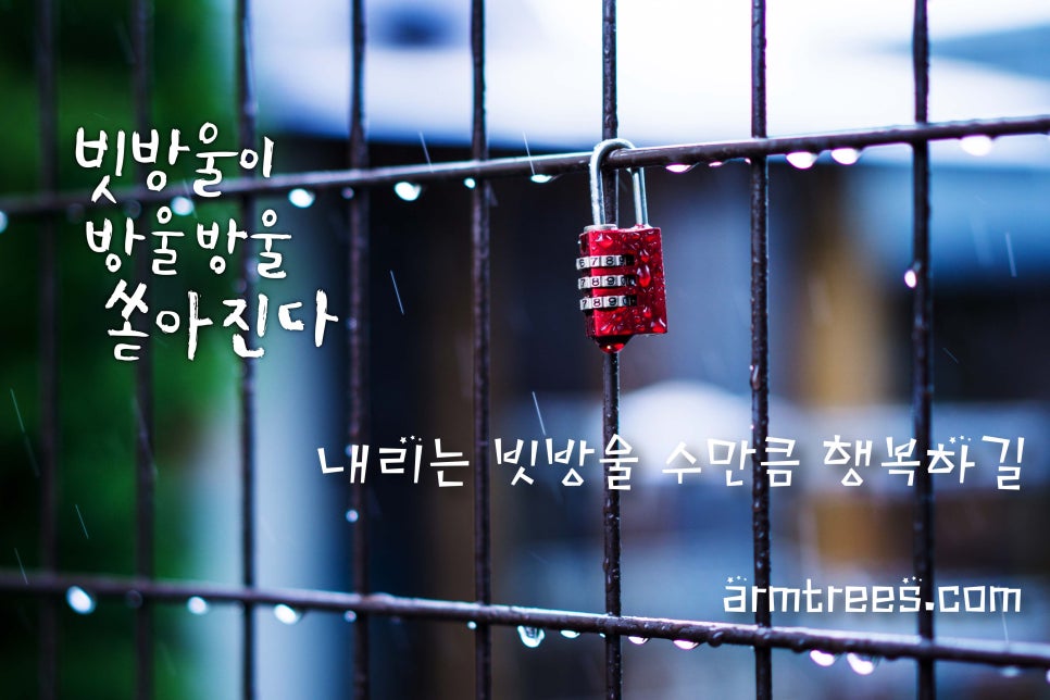 가을을 재촉하는 가을비가 내려요~강남 아름드리 치과 관련 이미지 5