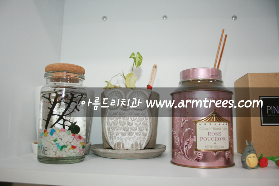 [포트넘앤메이슨] 로즈 포총 Rose Pouchong Tea 아름드리 치과 관련 이미지 6