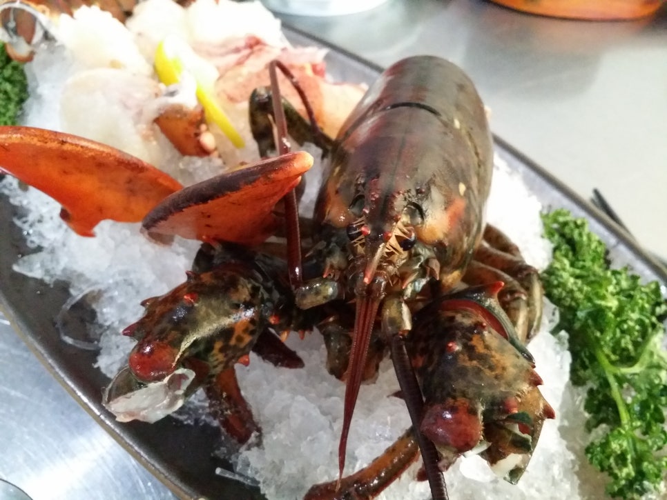 천안 횟집_별이 빛나는 밤에 [한상 푸짐하게 바다를 느끼다] 가성비대박 관련 이미지 25