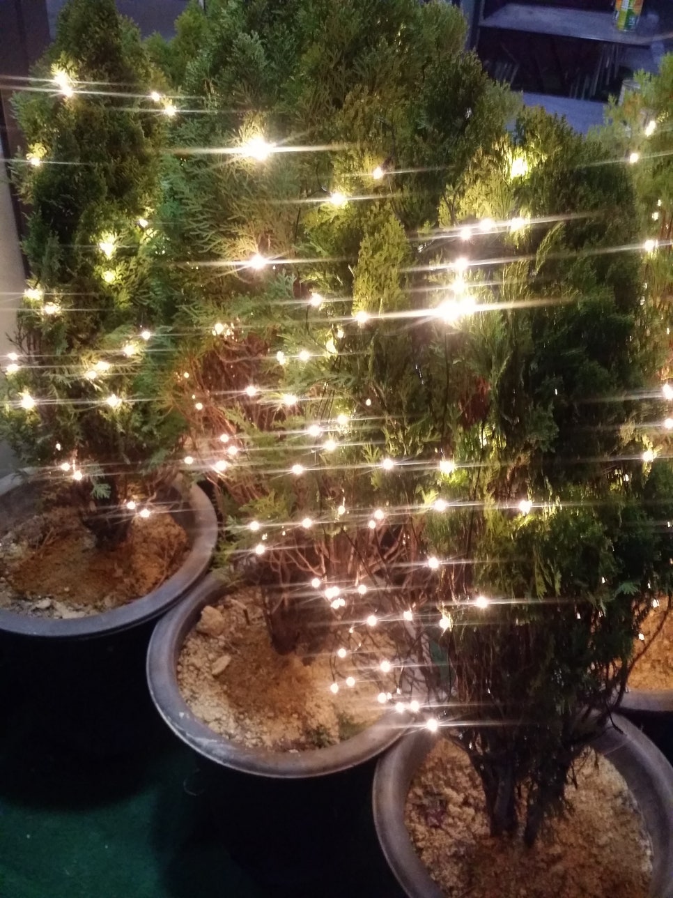 논현 세계수제맥주 전문점 _비어라이제_bier reise 관련 이미지 3