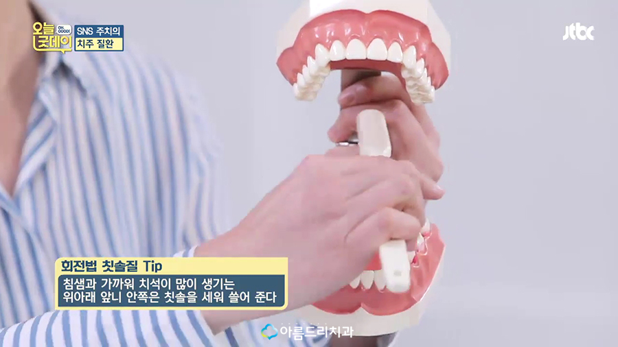 JTBC 오늘 굿데이 치주질환(잇몸병) 아름드리치과 이현정원장 관련 이미지 60