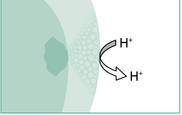 치아 흰색 얼룩 ? 갈아내지 않고 치료하는 법 관련 이미지 3
