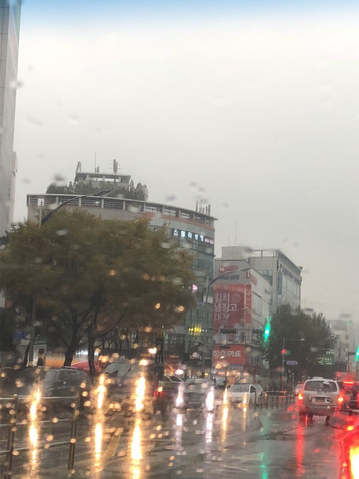 가을비 오는날 스텔라 일상 관련 이미지 1