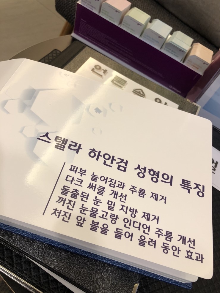 하안검 책자제작, 목동 성형외과 스텔라의원 관련 이미지 3