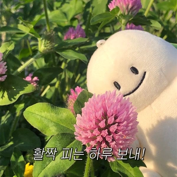 눈 수술 후, 빠른회복을 위한 방법은 ??  스텔라가 알려드릴게요!  (오목교 스텔라성형외과) 관련 이미지 1
