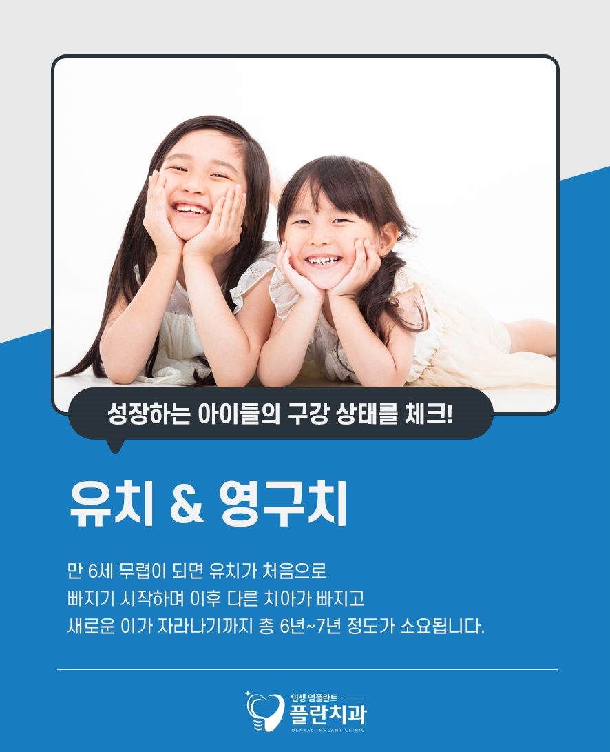 영구치나는순서 유치빠지는순서 시기 총정리 관련 이미지 4