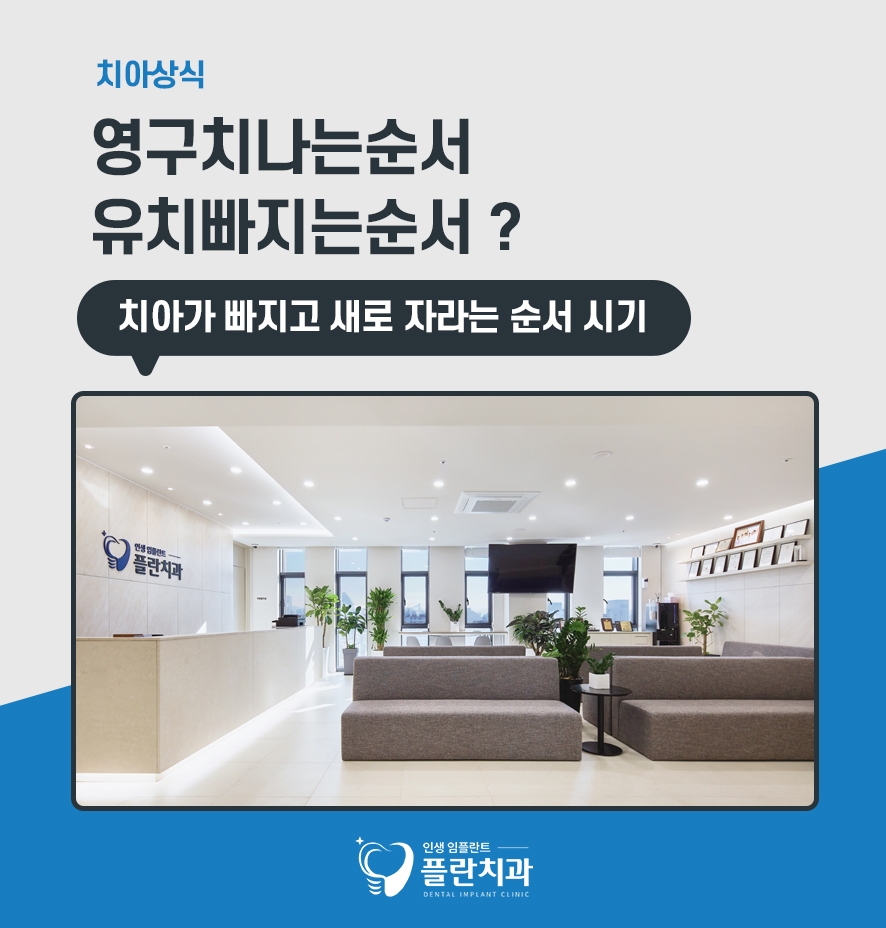 영구치나는순서 유치빠지는순서 시기 총정리 관련 이미지 1