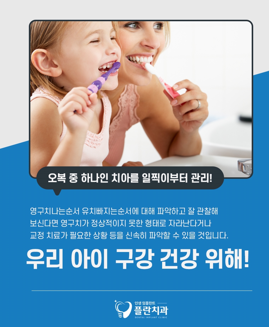 영구치나는순서 유치빠지는순서 시기 총정리 관련 이미지 5