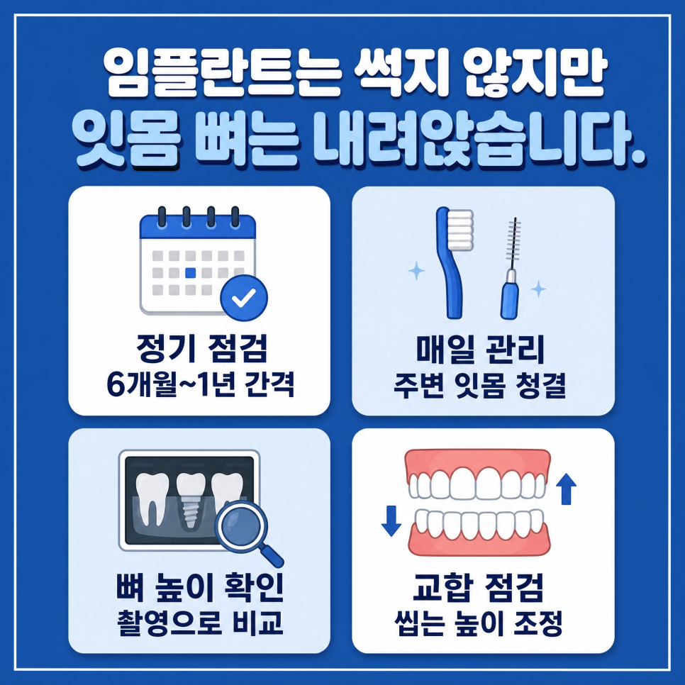 The Complete Implant Process, Organized by a Dental Clinic at Sinsa Station | How Long Does It Take? image 5