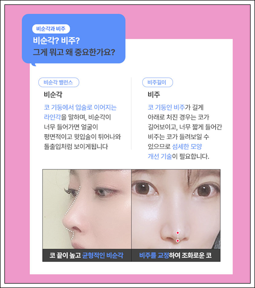 매부리코 수술 비용 후기 정보 총정리 관련 이미지 13
