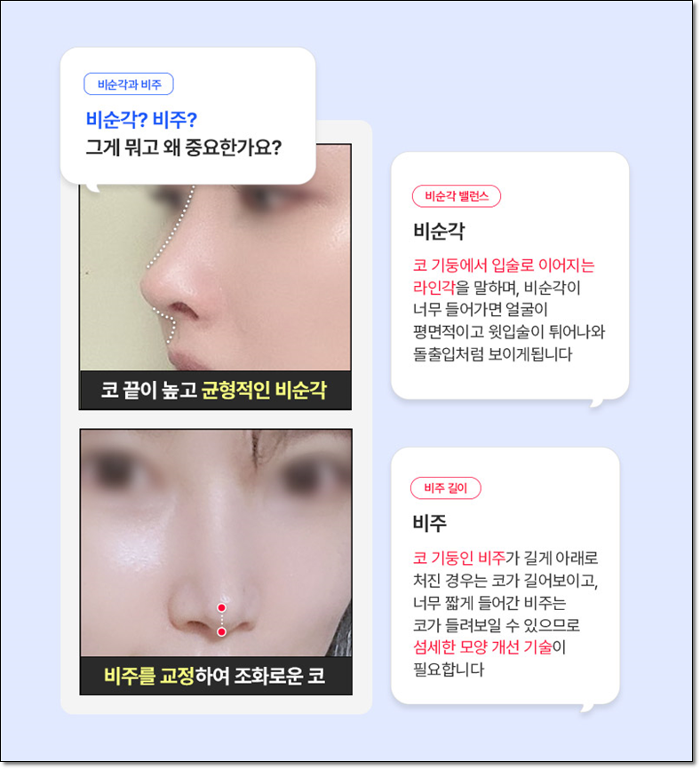 Why Facial Proportions Matter for a Straight-But-Slightly-Upturned Nose image 5