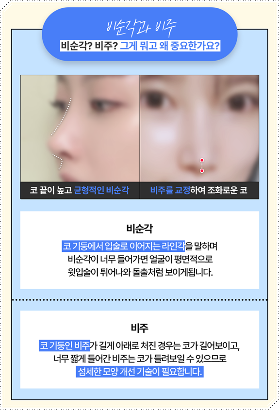 남자 코성형 종류 어떤 게 맞을까? 평균 비용부터 회복기간, 발품 팁까지 완벽 가이드 관련 이미지 25