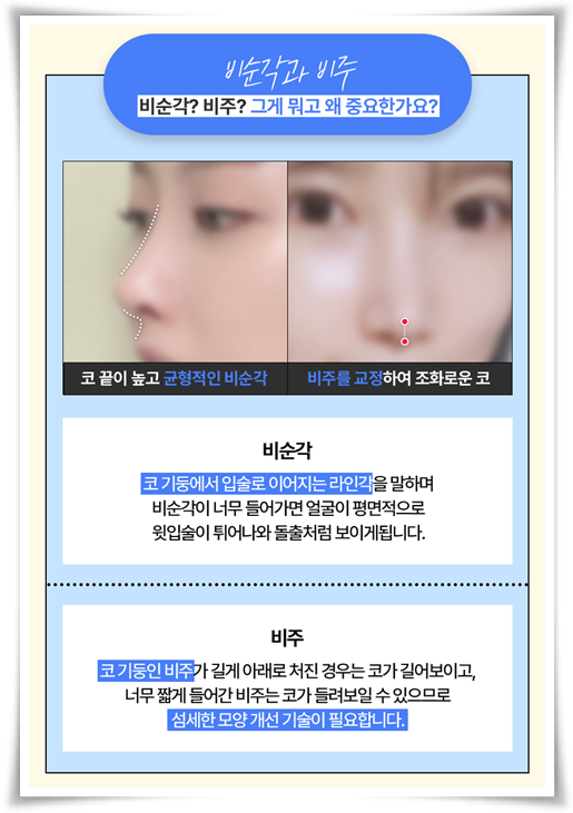 코끝수술 잘하는곳, 예쁜 후기, 가격 정보, 콧볼축소 뭐가 다른가요? 관련 이미지 13
