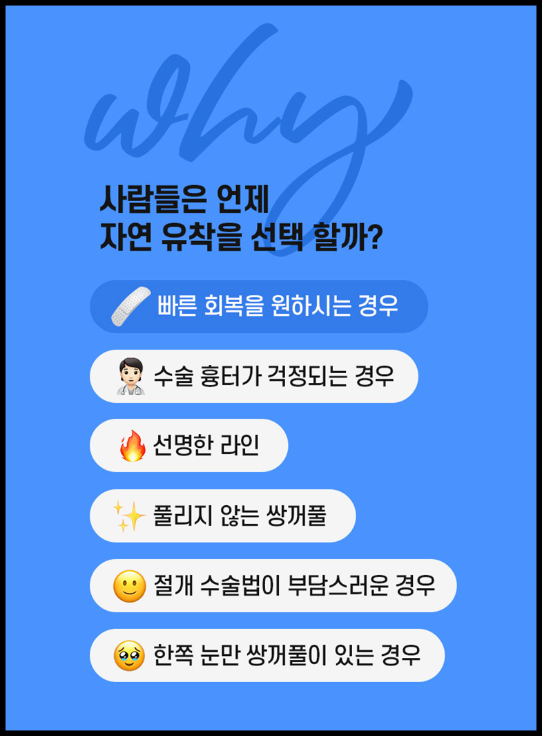 눈성형외과 내게 맞는 눈성형을 찾아요 관련 이미지 5
