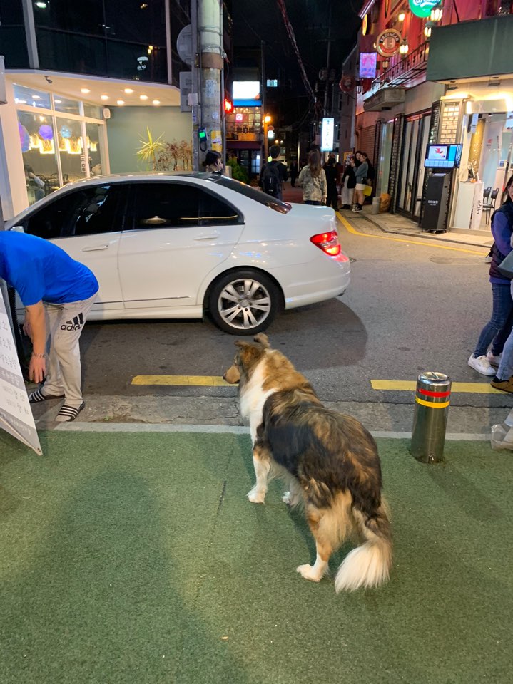 가로수길 맛집 골뱅이신사 통골뱅이&해물라면 조합! 관련 이미지 2