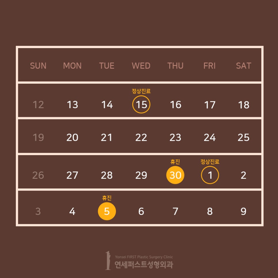 Yonsei First Plastic Surgery Clinic April-May Closure Notice image 3