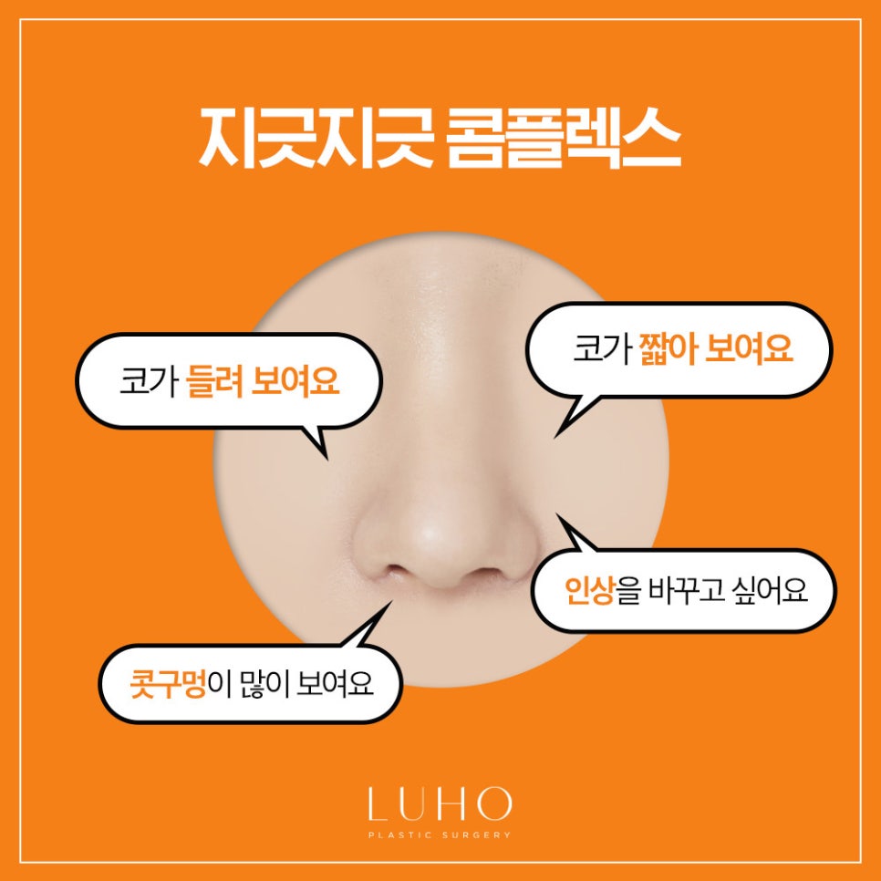 짧은코 들창코를 세련된 코로 관련 이미지 2