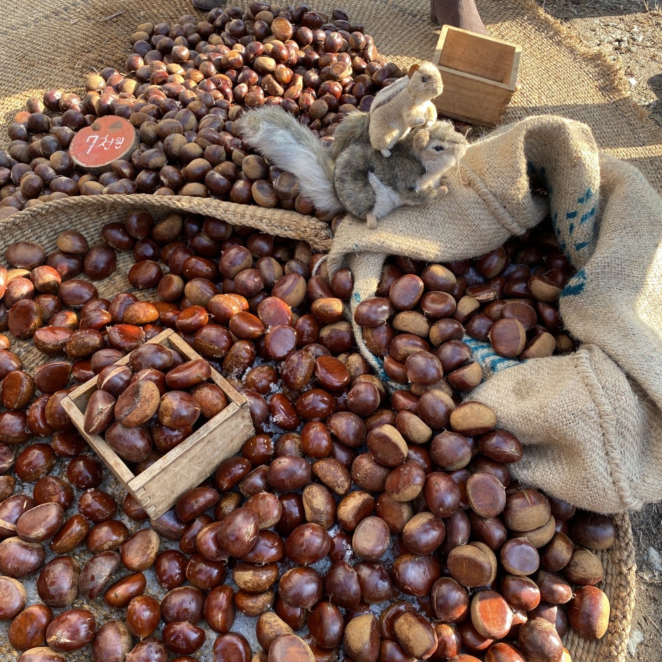 A Great Day Trip to Yangpyeong Muno-ri River Market! image 2