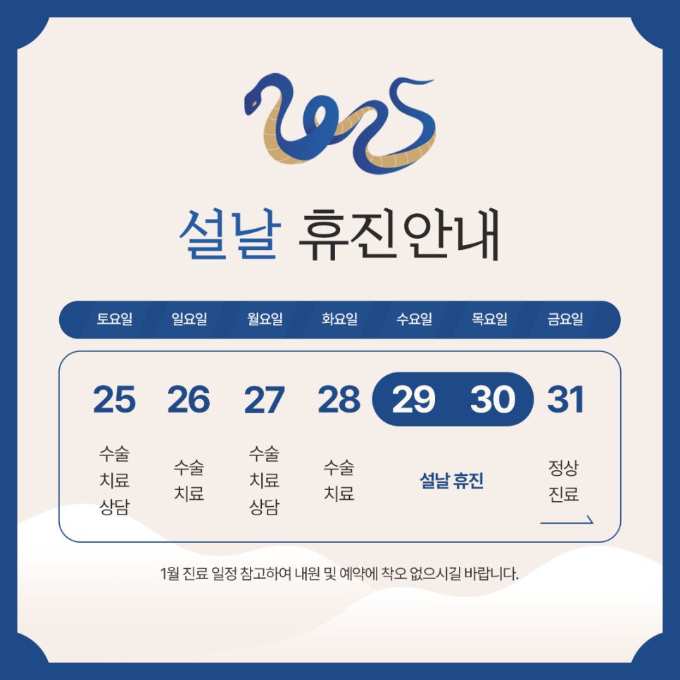 Luho Plastic Surgery January 2025 Lunar New Year Closure Notice image 1