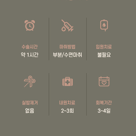 루호의 생지방 지방이식 관련 이미지 8