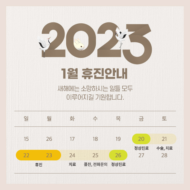 루호성형외과 설날 진료일정 안내🐇 관련 이미지 1