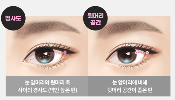 루호성형외과 수험생이벤트 관련 이미지 3