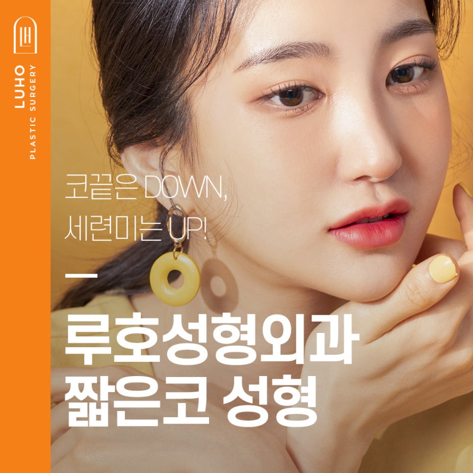 짧은코 들창코를 세련된 코로 관련 이미지 1