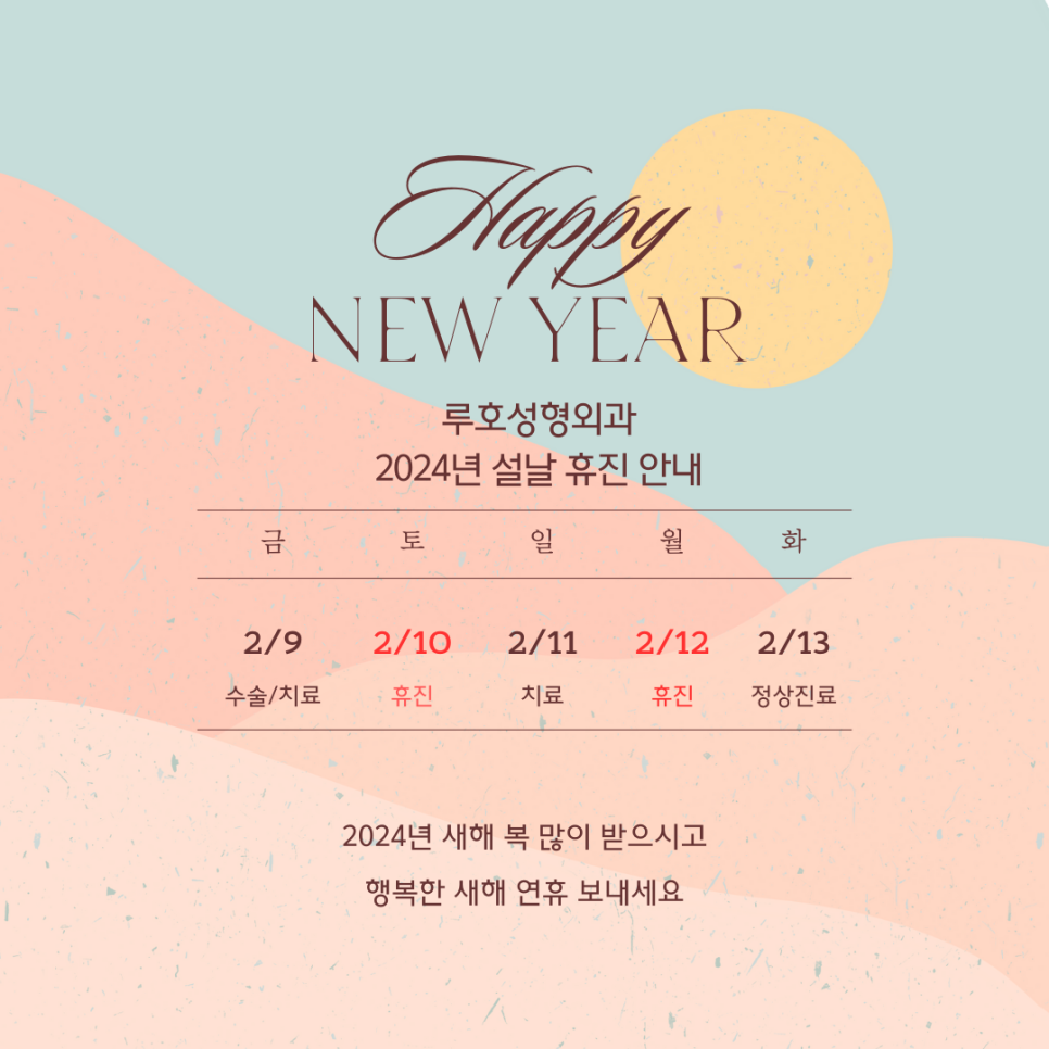 ［루호성형외과］2024년 설날 휴진 안내 관련 이미지 2