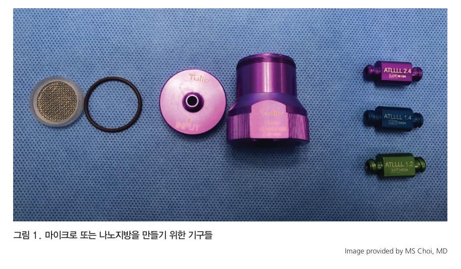 눈두덩이 지방이식 같은 내 지방인데 왜 울퉁불퉁해질까? 지방의 크기부터 다르니깐 관련 이미지 15