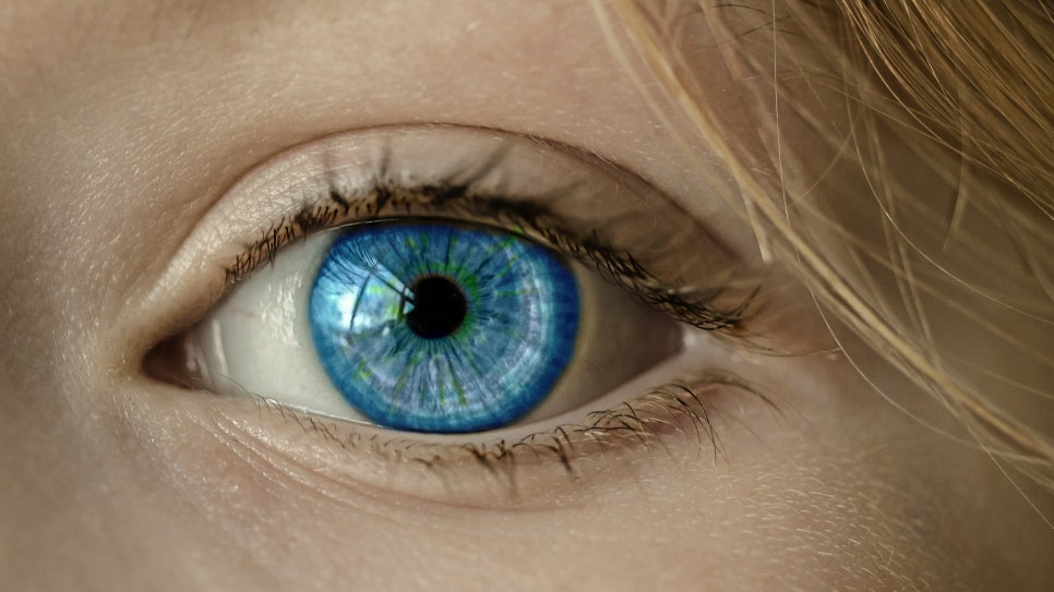 Diagnosis and Treatment of Color Vision Deficiency (Color Blindness) image 1
