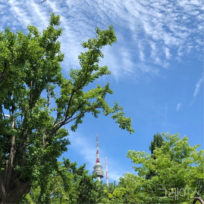 [후암동 카페] 남산 가까이에 있는 해브언아이스데이 관련 이미지 11