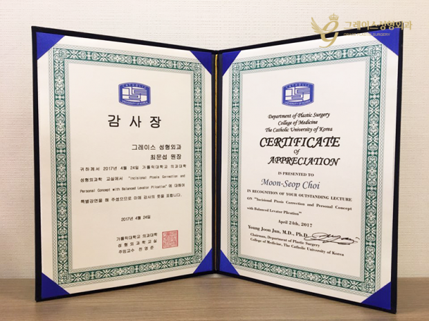 가톨릭대학교 의과대학 성형외과학교실 집담회 최문섭원장님 눈성형 특별 강연 관련 이미지 2