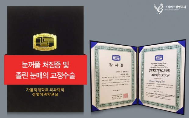가톨릭대학교 의과대학 성형외과학교실 집담회 최문섭원장님 눈성형 특별 강연 관련 이미지 1
