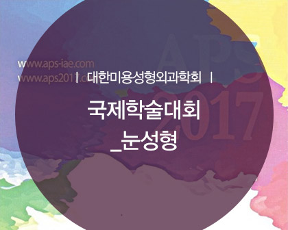 2017 대한성형외과학회 국제학술대회 최문섭원장님 눈성형 강연 관련 이미지 1