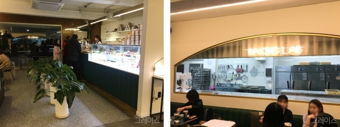 [도산공원 카페] 디저트가 맛있었던 카페, 노티드(Knotted) 관련 이미지 2