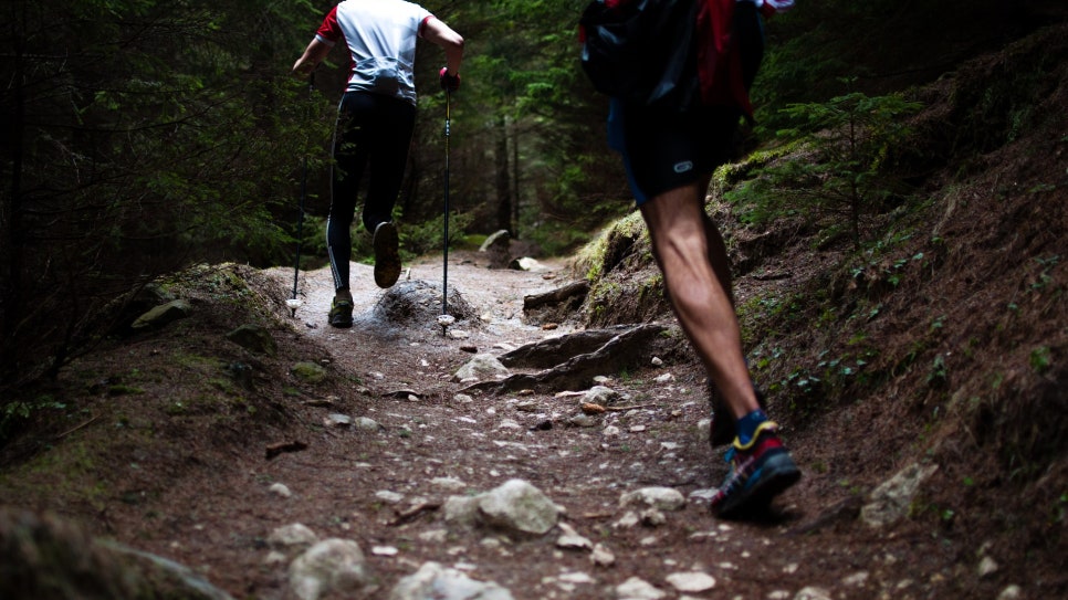 About Sprains image 1