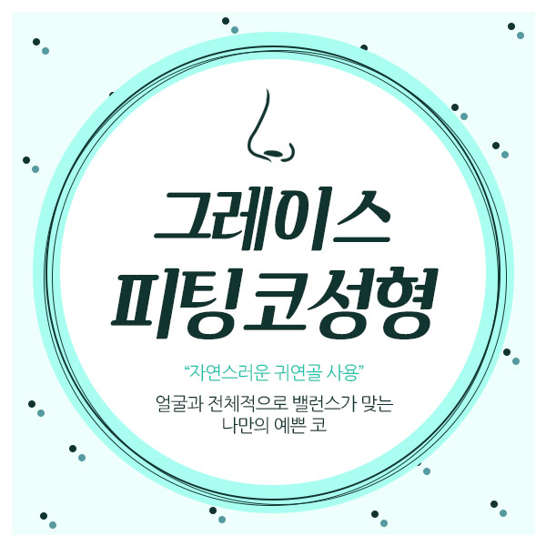 내 얼굴에 밸런스를 맞춰주는 그레이스성형외과 피팅코성형 관련 이미지 1