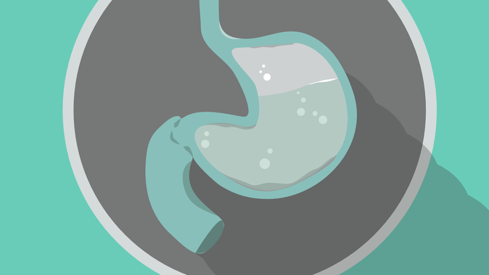About Gastritis image 1