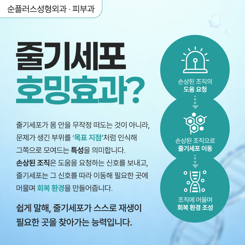 How Do Ageless Celebrities Manage Their Health for Immune Support, Recovery, Regeneration, and More?! image 3