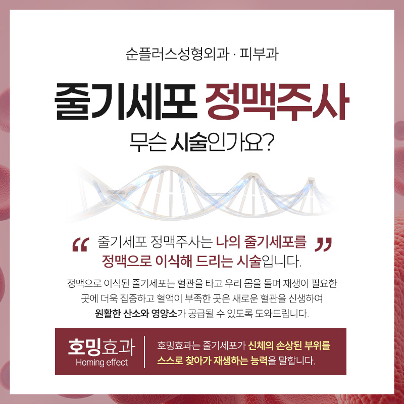 Stem Cell Intravenous Injection: Diverse Anti-Aging Effects by Activating the Body’s Natural Healing Power image 2