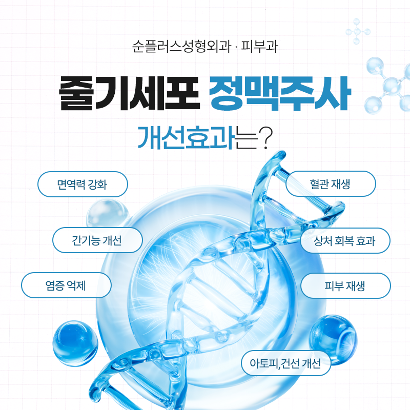 Stem Cell Therapy: The Benefits and Effects of Stem Cells Transplanted Through the Vein image 3