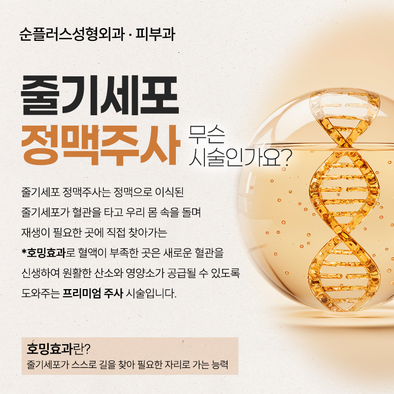 줄기세포 정맥주사, 세포 재생을 통한 효능/효과와 주의사항까지 관련 이미지 2