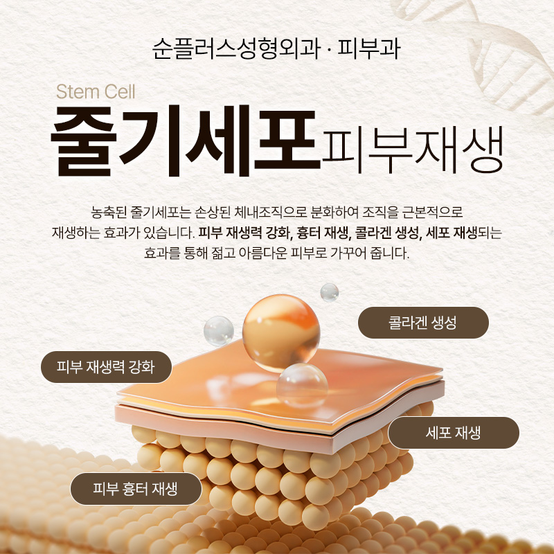What Is the No. 1 Premium Skin Booster Sought by Wealthy People and Celebrities? Stem Cell Skin Injection [Sunplus Plastic Surgery & Dermatology] image 2