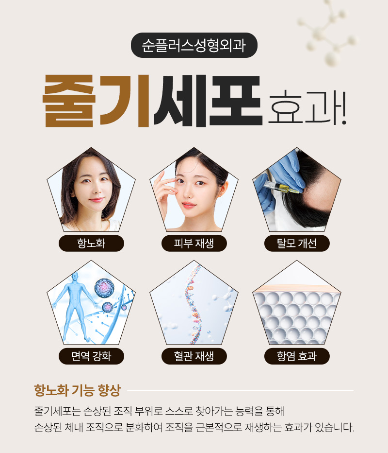 Maximizing Restorative and Regenerative Effects Through Stem Cell Treatment [Sun Plus Plastic Surgery & Dermatology] image 3