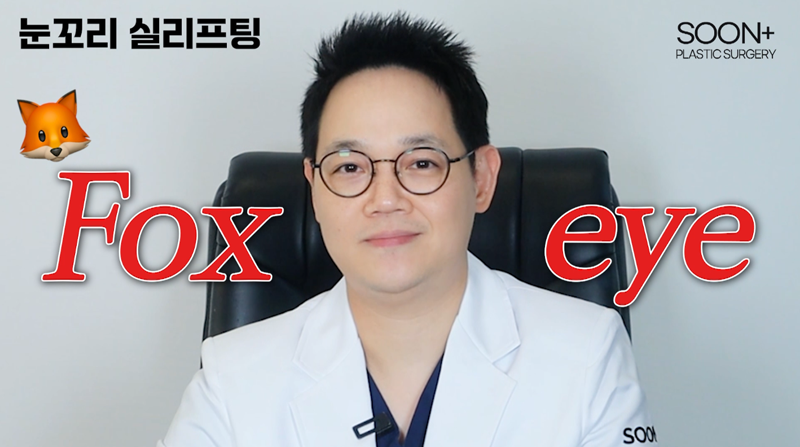 눈꼬리 리프팅, 눈매 하나로 달라지는 인상 관련 이미지 2