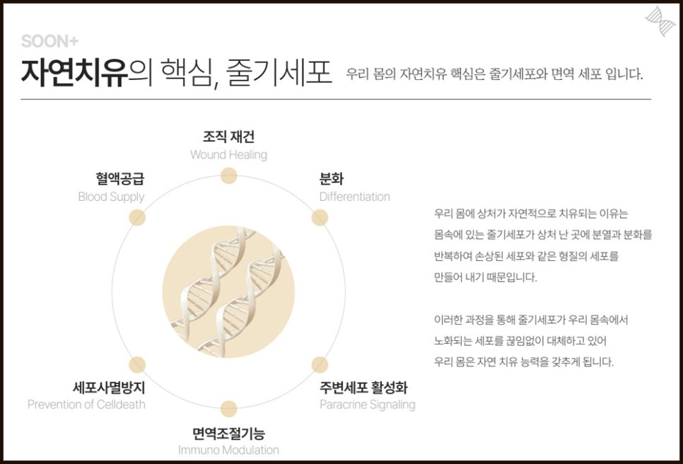 The Various Benefits and Effects of Stem Cells Extracted from Autologous Blood image 2