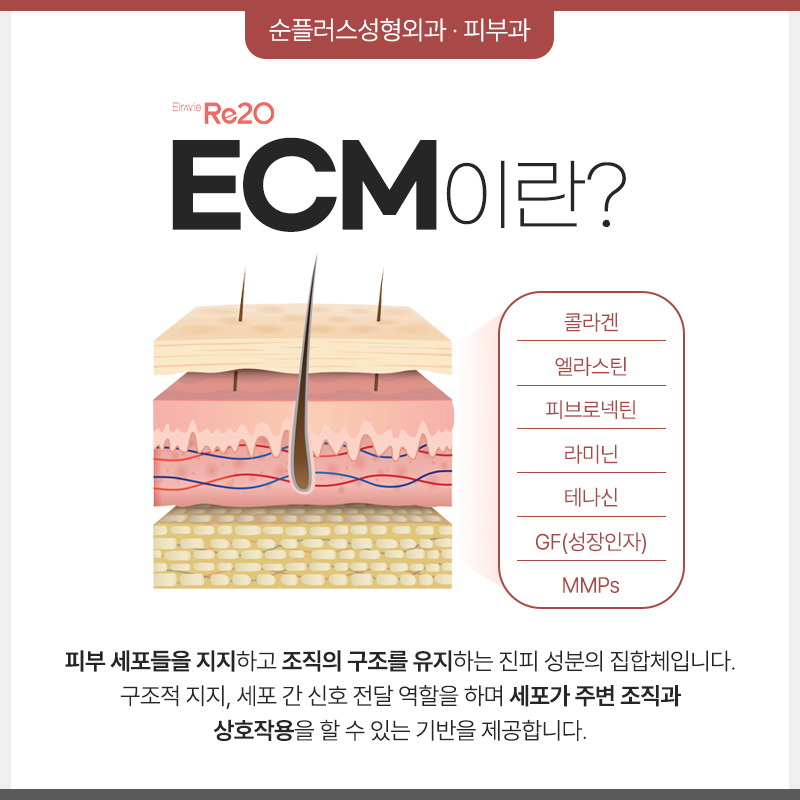 What Are the ECM Ingredients in Ellabie Rituo at a Gangnam Dermatology Clinic? image 3