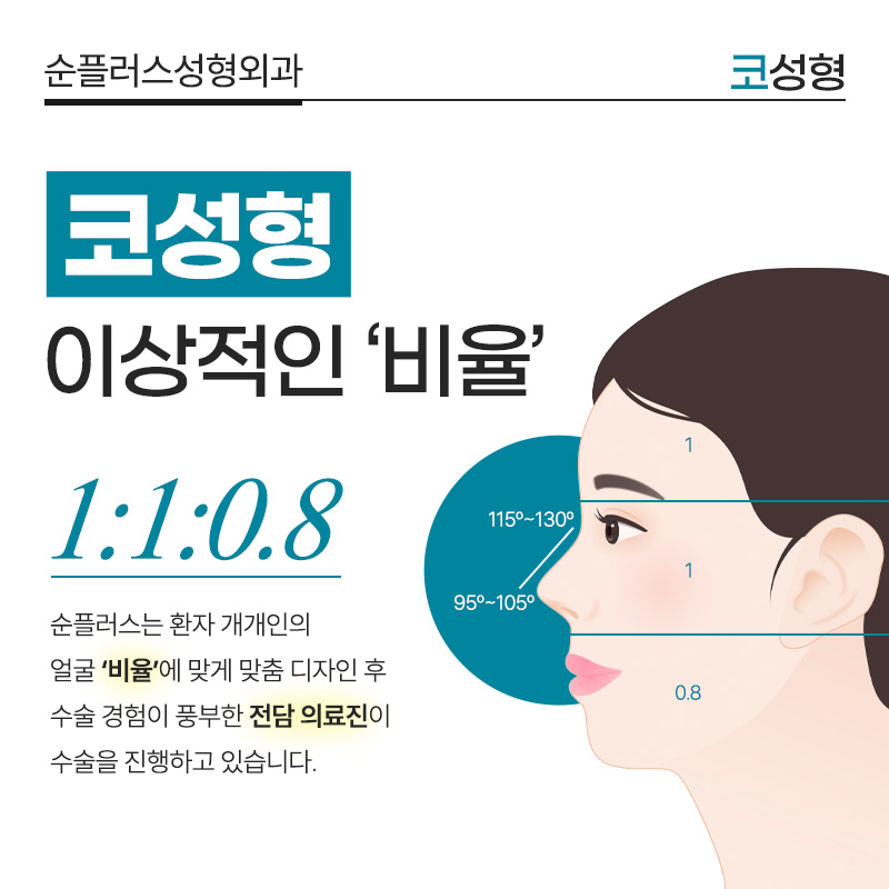 Looking at Balance and Proportion at a Nose Plastic Surgery Clinic near Sinsa Station image 3